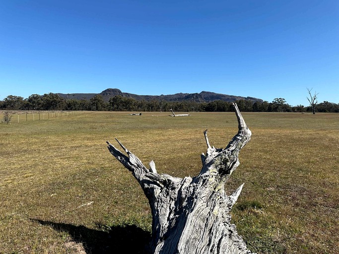 Vacation Rentals (Australia, --, --)