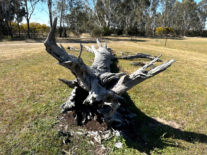 Vacation Rentals (Australia, --, --)