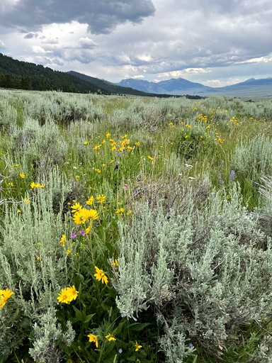 Vacation Rentals (United States of America, McAllister, Montana)