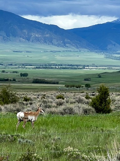 Vacation Rentals (United States of America, McAllister, Montana)
