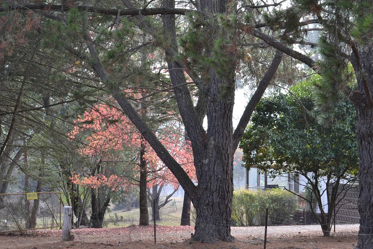 Cabins (Eildon, Victoria, Australia)