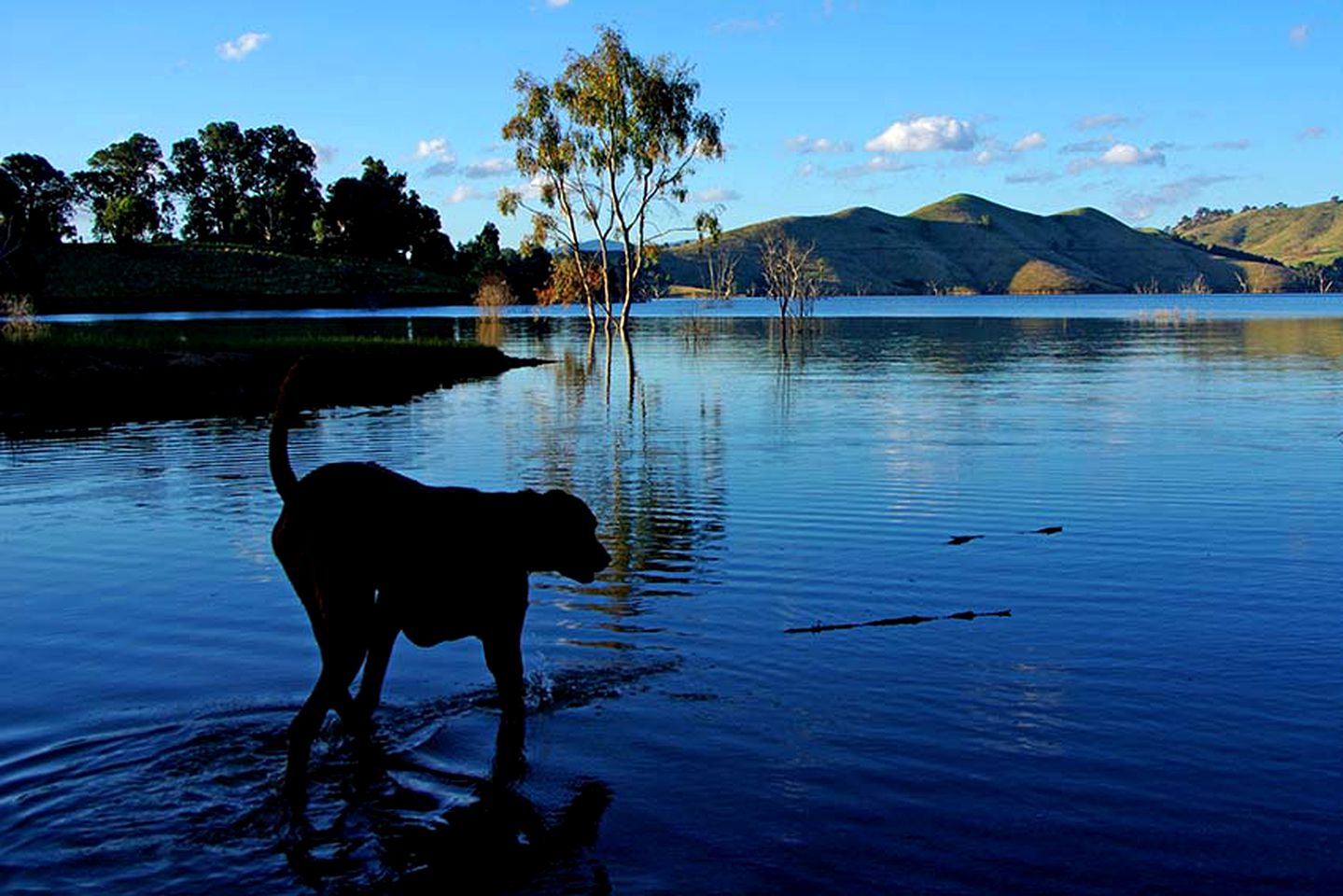 Gorgeous Lakefront Bed and Breakfast Situated in a Valley near Christmas Hill, Victoria