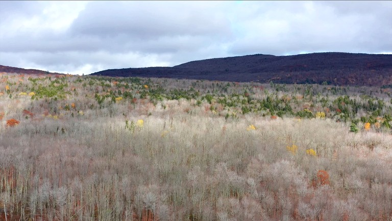 Vacation Rentals (United States of America, Prattsville, New York)