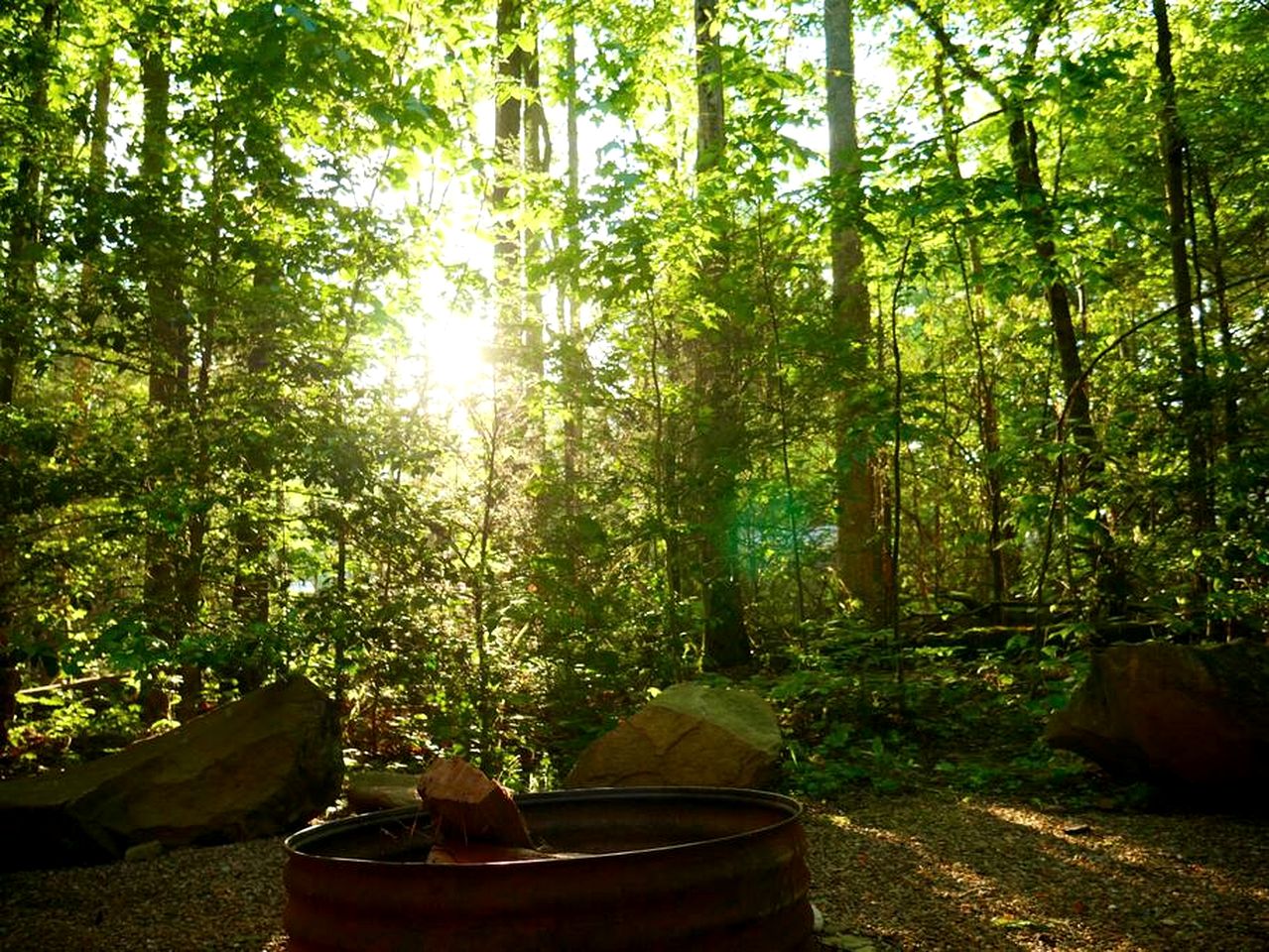 Charming Cabin in the Woods for a Cozy Outdoor Experience Surrounded by Nature in Cosby, Tennessee