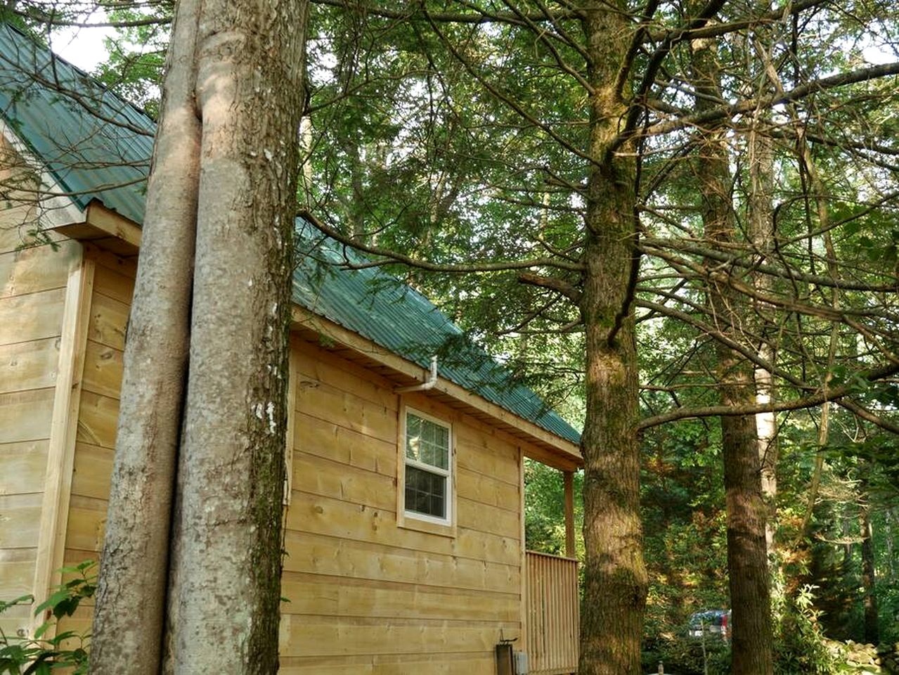 Charming Cabin in the Woods for a Cozy Outdoor Experience Surrounded by Nature in Cosby, Tennessee