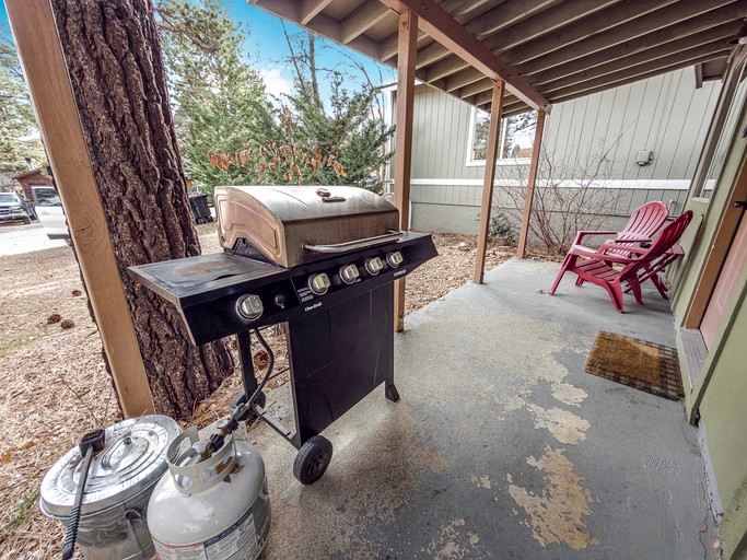 Cabins (United States of America, Big Bear, California)