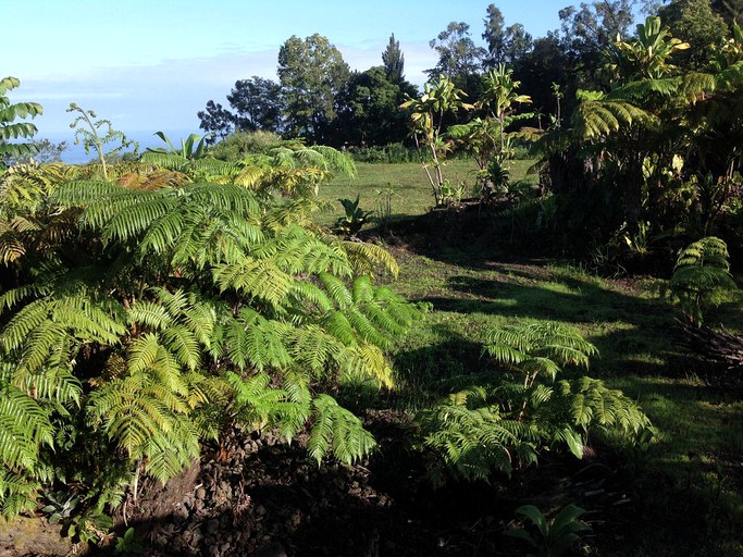 Nature Lodges (Holualoa, Hawaii, United States)