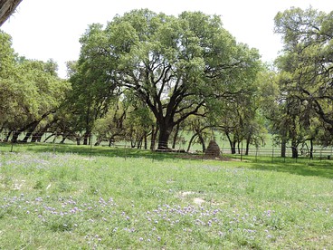 Cozy and Comfortable Cabin Rental Just 15 Minutes from San Antonio, Texas - Photo 2