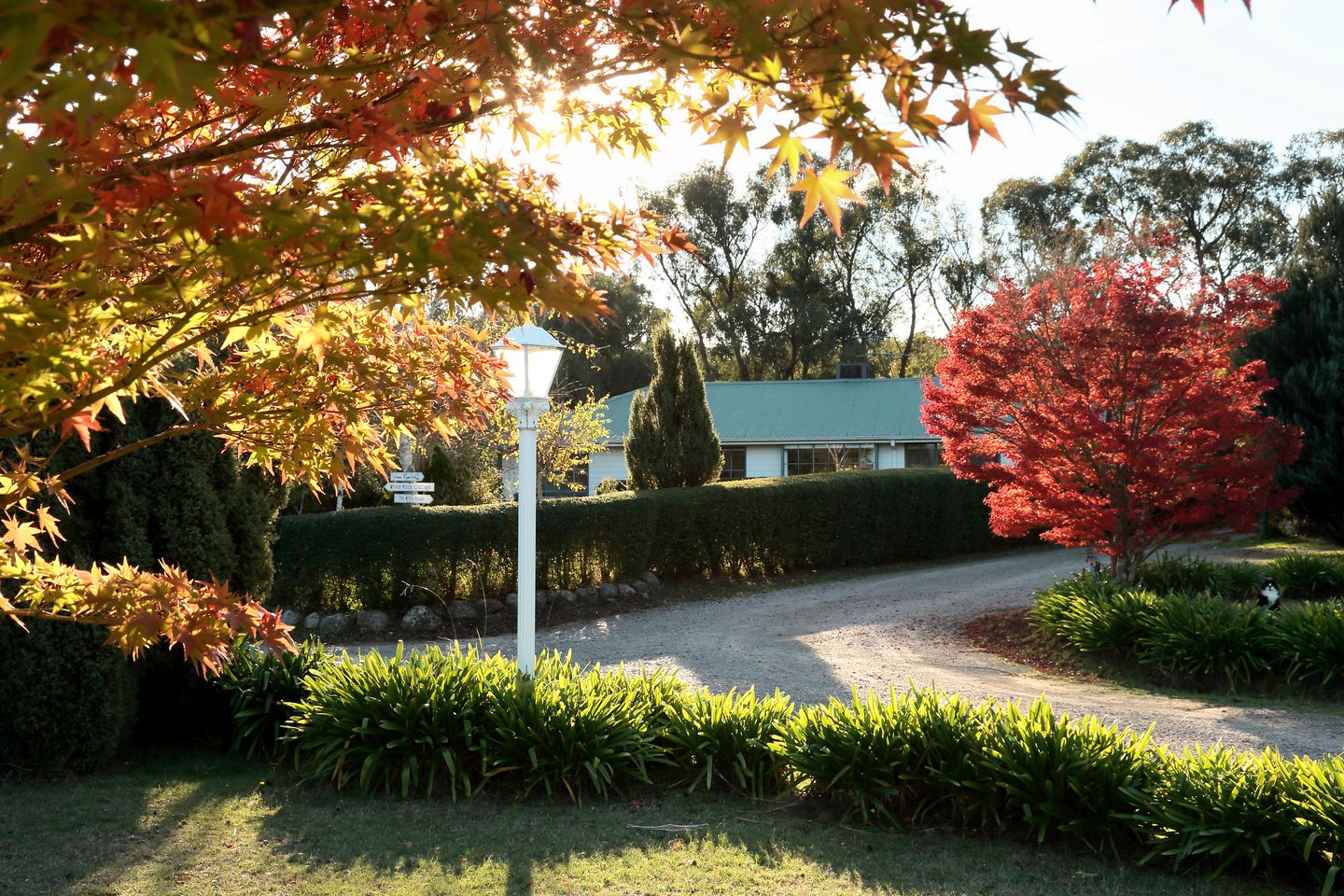 Peaceful Yarra Valley Accommodation for Group Farm Stay Healesville, Victoria