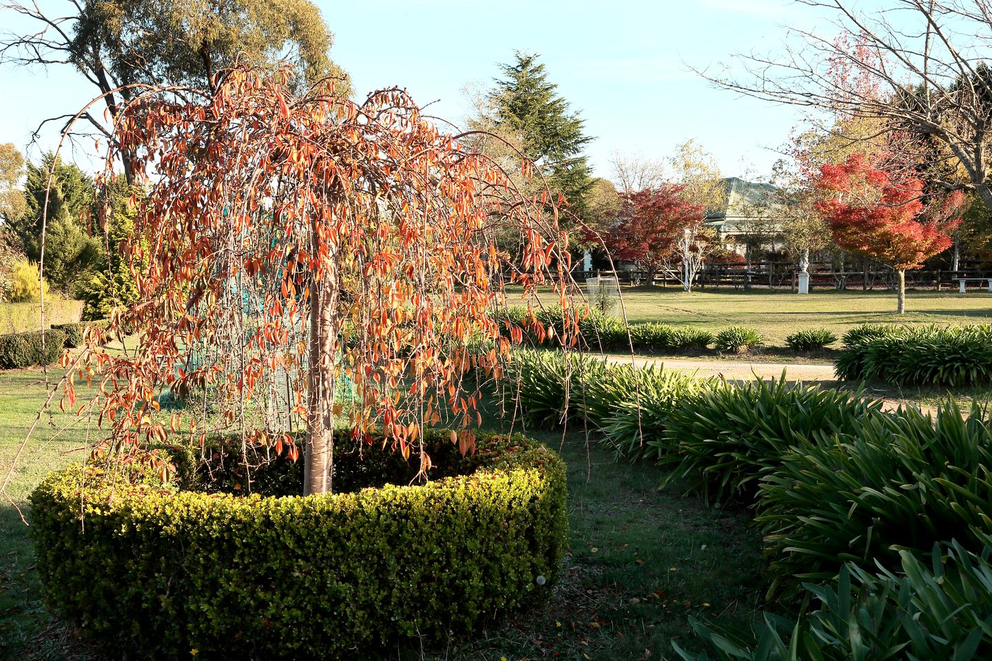Serene Yarra Valley Cottage for a Farm Stay Healesville, Victoria