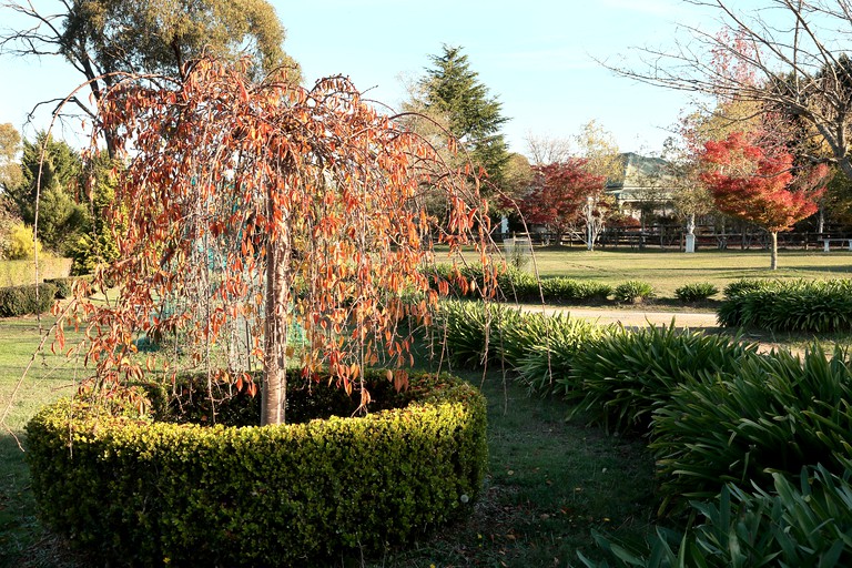 Cottages (Healesville, Victoria, Australia)