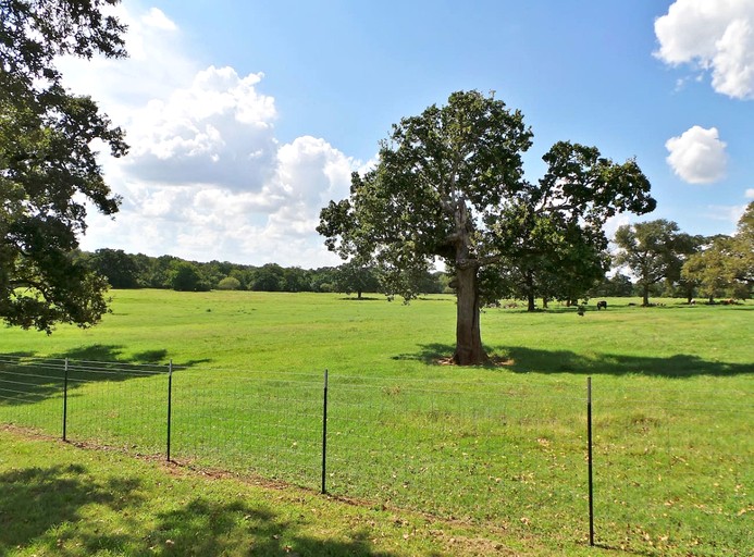 Cabins (United States of America, Bryan, Texas)