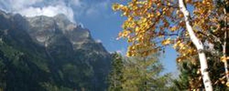 Simple Family-Friendly Camping Cabin Rental with BBQ and Fire Pit in Greybull, Wyoming | Cabins (Greybull, Wyoming, United States of America)