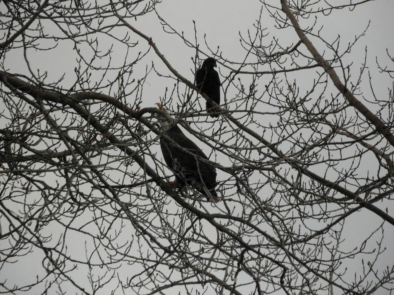 Lovely Bed and Breakfast Accommodation with Amazing Views on the Kachemak Bay, Alaska