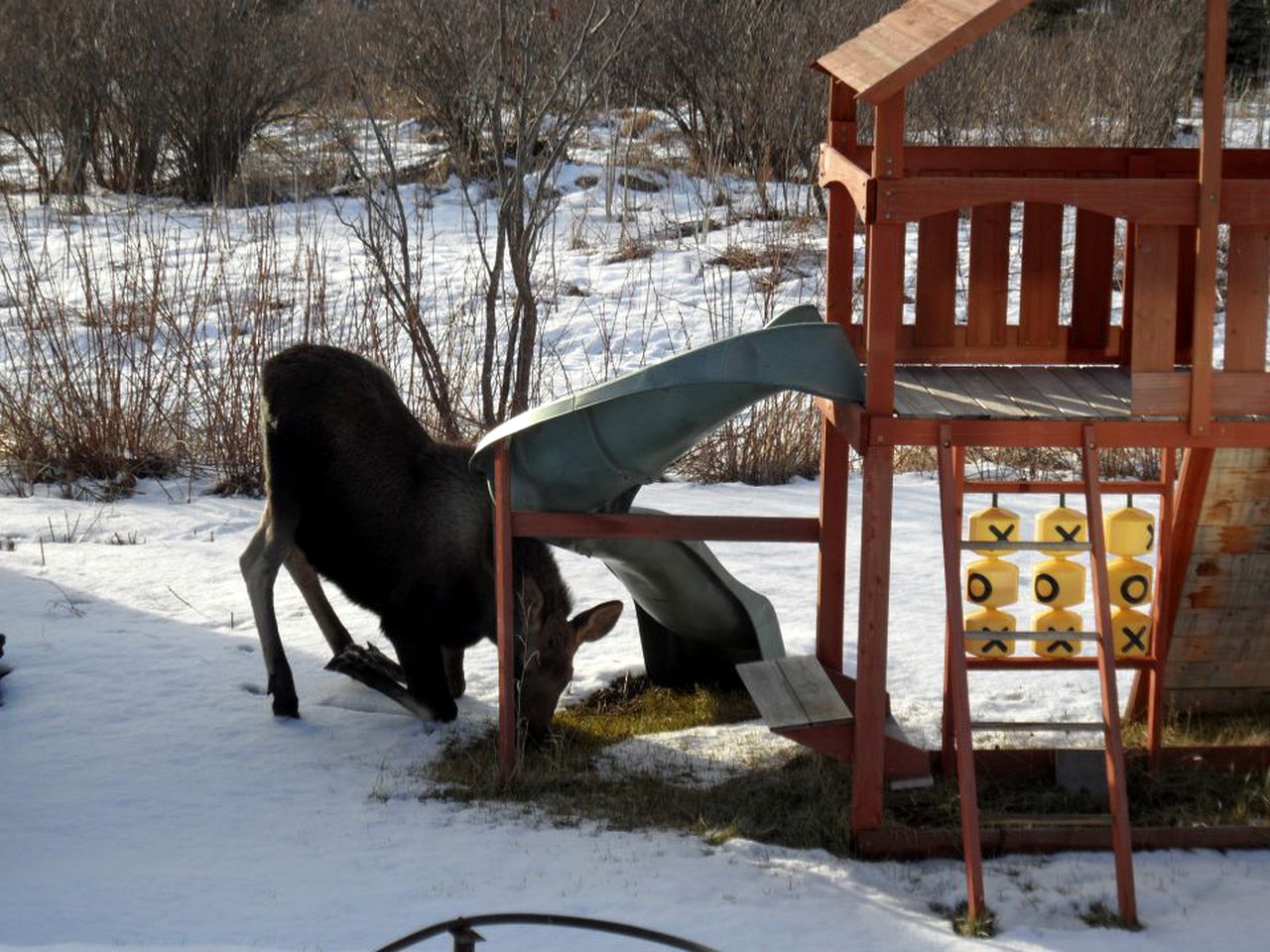Lovely Bed and Breakfast Accommodation with Amazing Views on the Kachemak Bay, Alaska