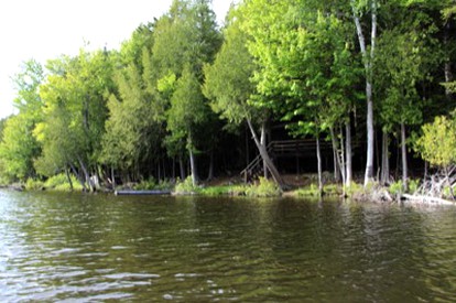 Homespun Charm at Waterfront Cabin Surrounded by Woodlands in Upstate New York photo 2