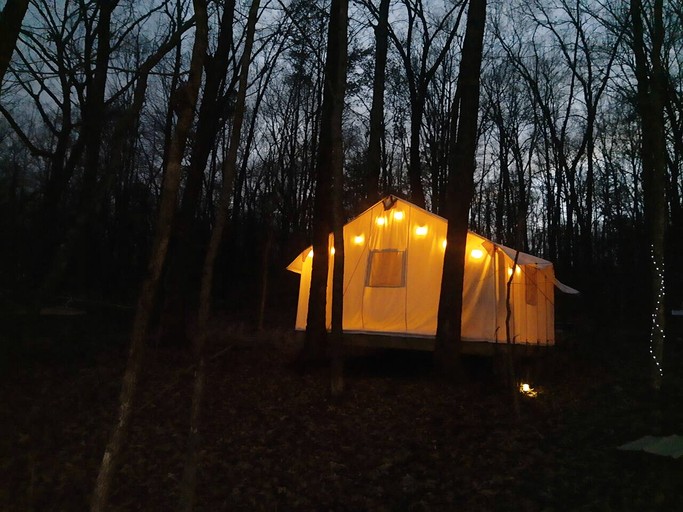 Cozy Treehouse Tent with Forest Trails near Waterfalls in Cumberland Plateau, TN