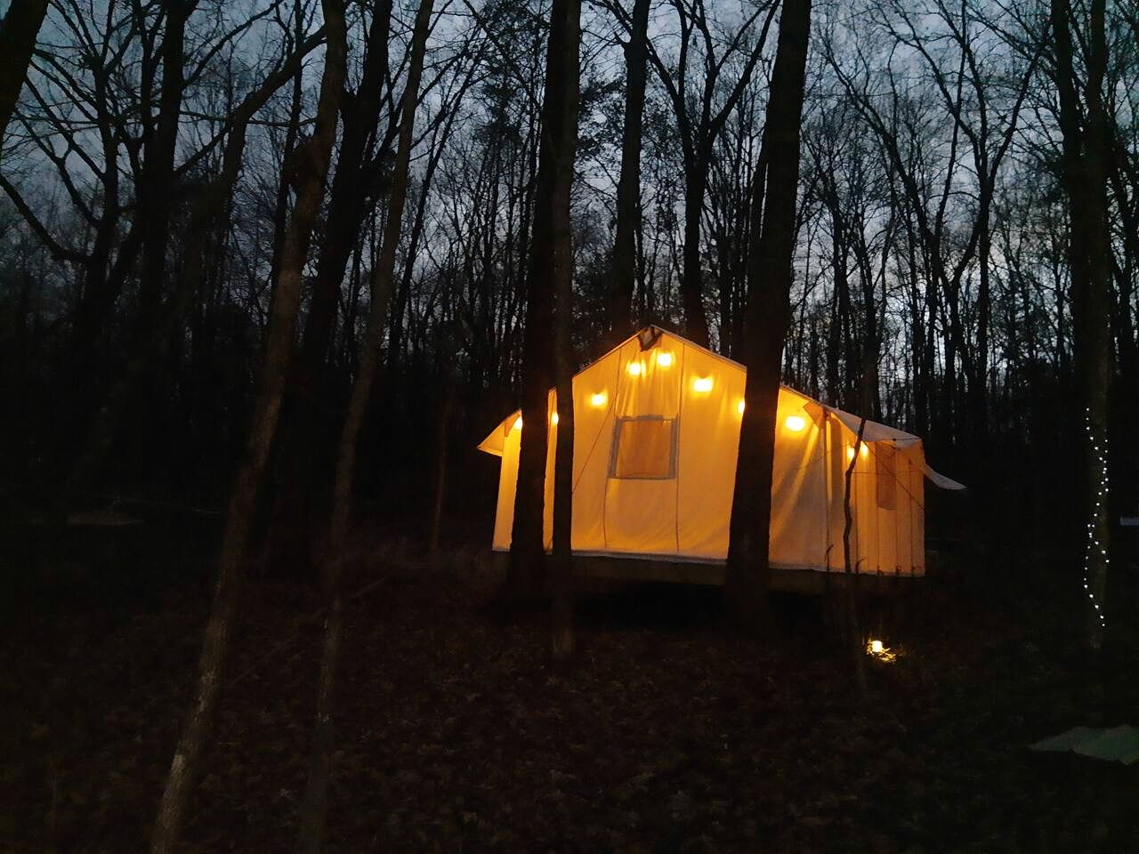Cozy Treehouse Tent with Forest Trails near Waterfalls in Cumberland Plateau, TN