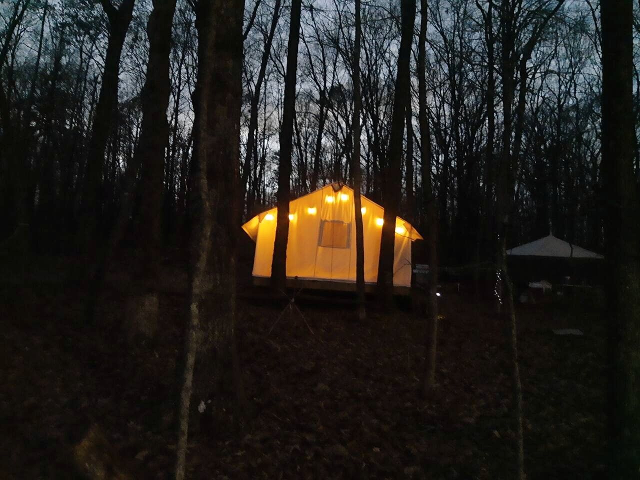Cozy Treehouse Tent with Forest Trails near Waterfalls in Cumberland Plateau, TN