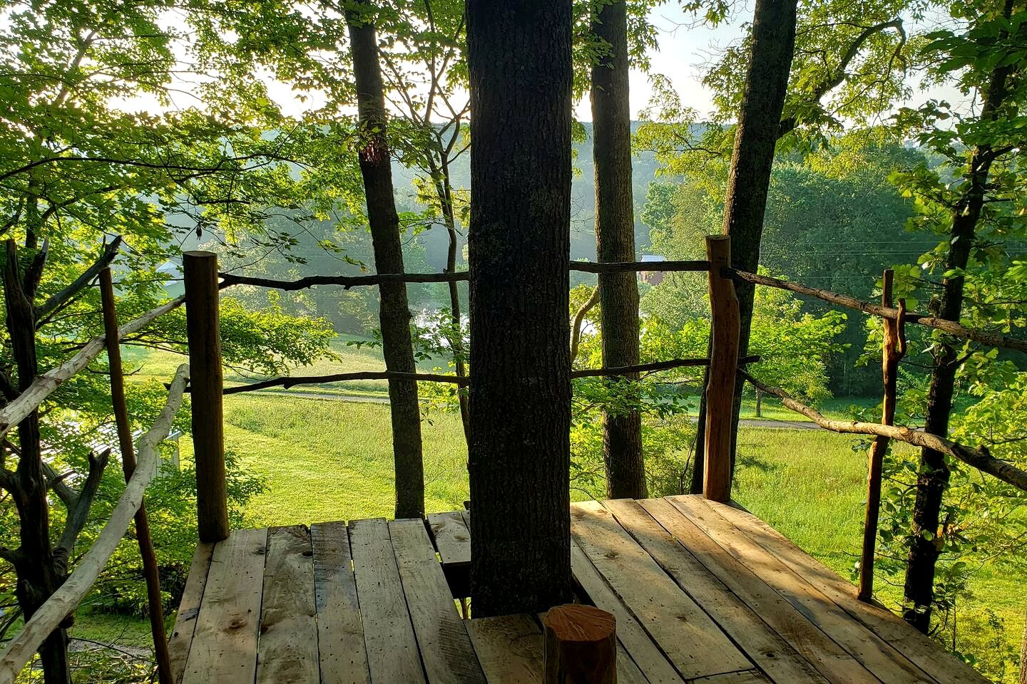 Cozy Treehouse Tent with Forest Trails near Waterfalls in Cumberland Plateau, TN