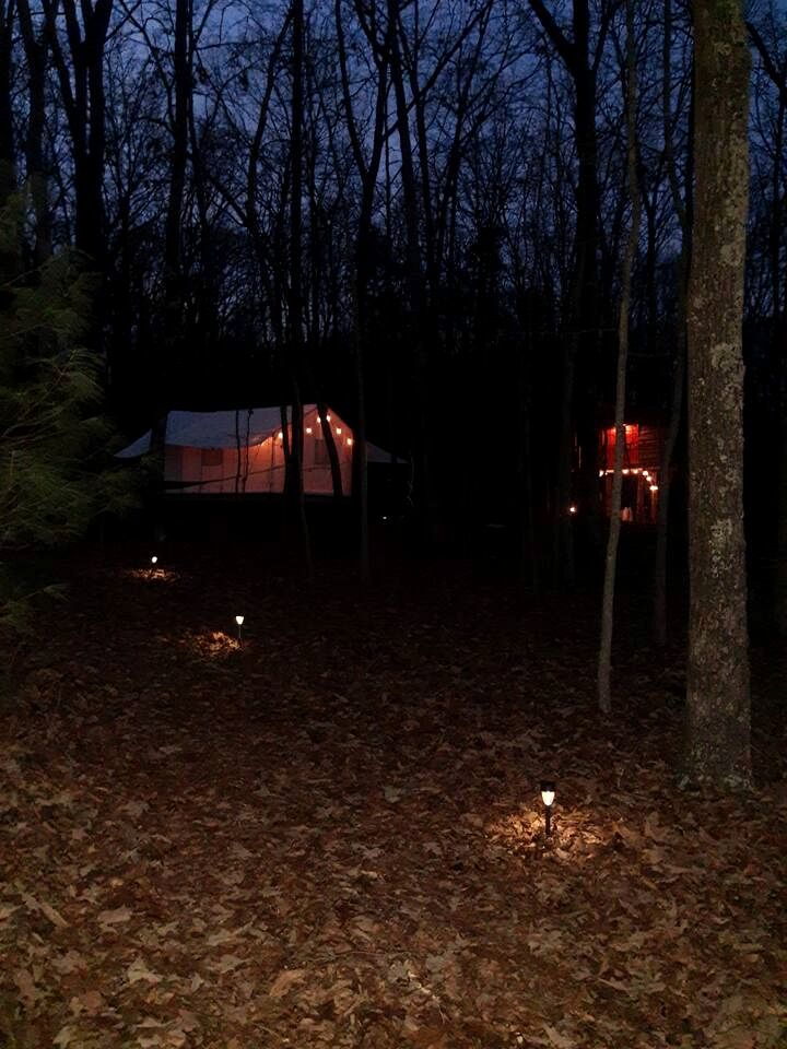 Cozy Treehouse Tent with Forest Trails near Waterfalls in Cumberland Plateau, TN