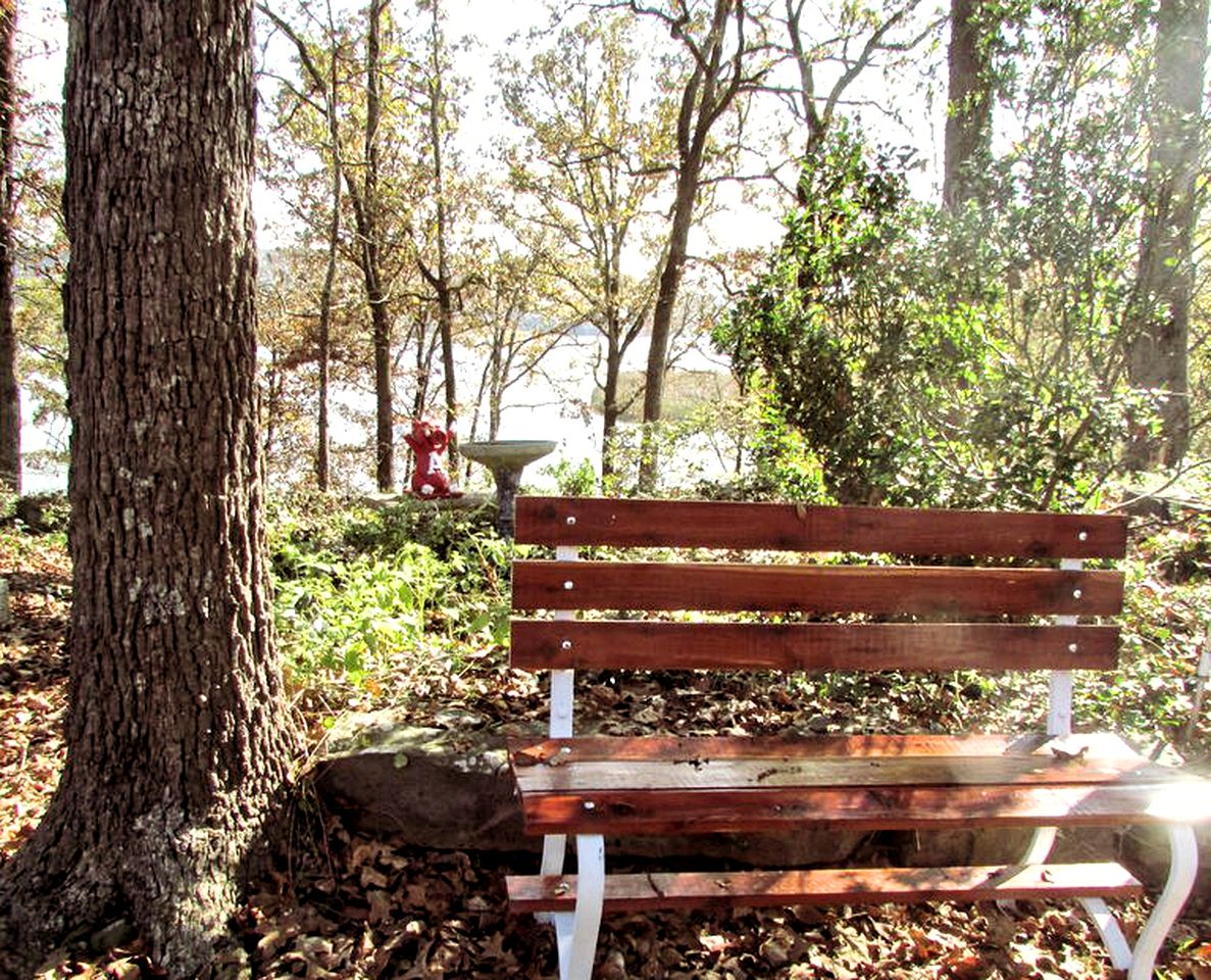 Rustic Cabin Rental in the Woods with Private Dock on Lake Dardanelle, Arkansas
