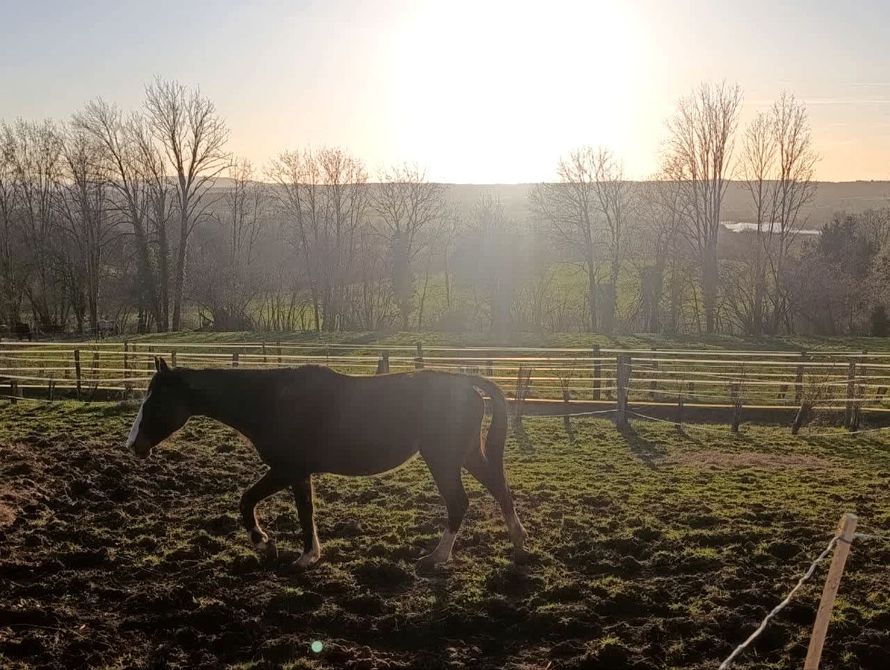 Eco-Friendly Hideaway Surrounded by Wildlife in Bourgogne-Franche-Comté, France