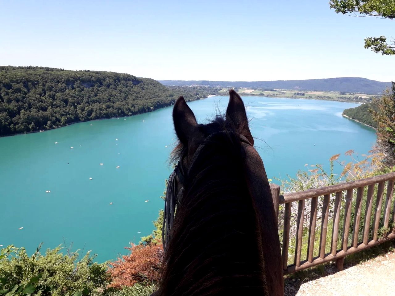 Eco-Friendly Hideaway Surrounded by Wildlife in Bourgogne-Franche-Comté, France