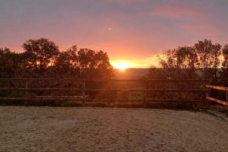 Tiny Houses (France, --, Bourgogne-Franche-Comté)