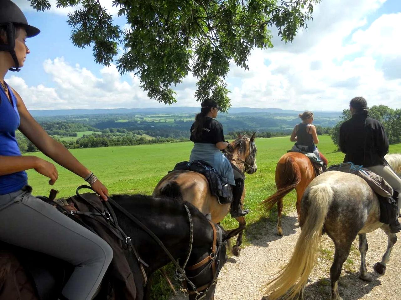 Eco-Friendly Hideaway Surrounded by Wildlife in Bourgogne-Franche-Comté, France