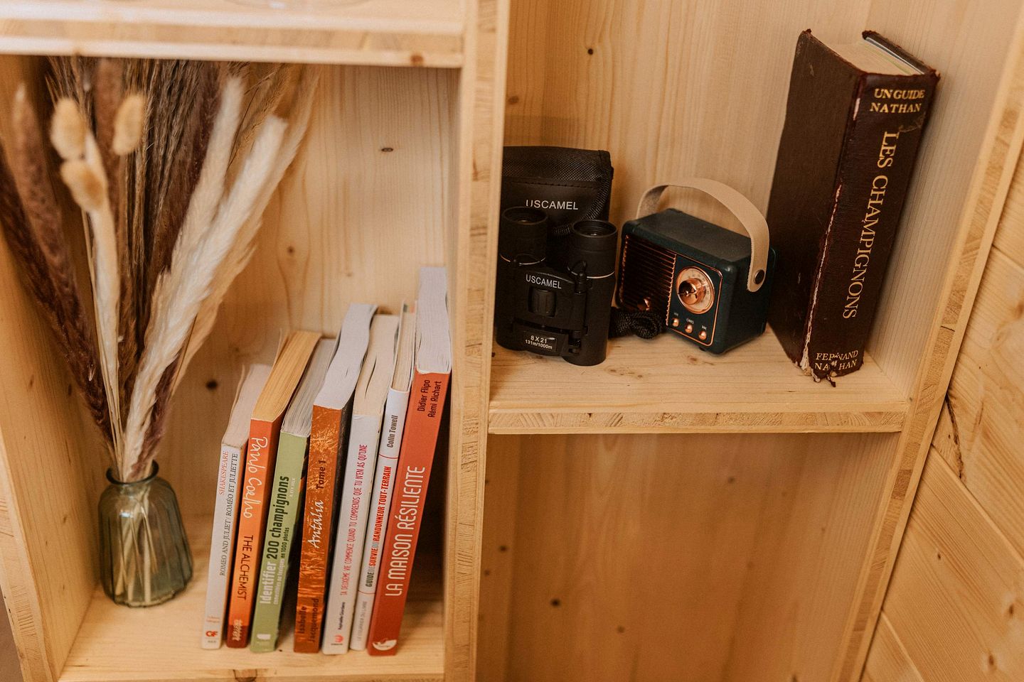 Stunning Eco-Lodge with Panoramic Pyrenees Views Near Escouloubre, France