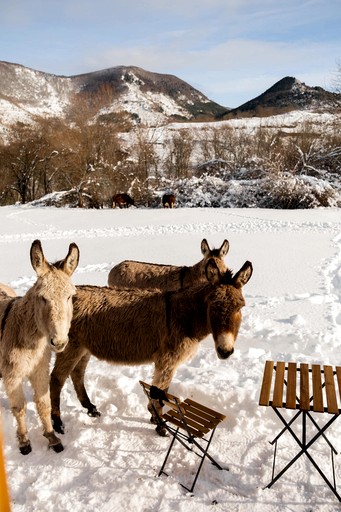 Vacation Rentals (France, Escouloubre, Occitanie)