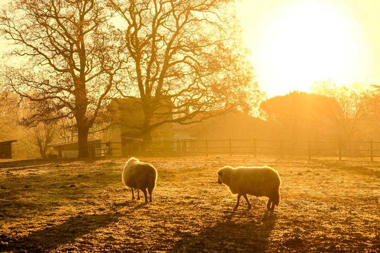 Vacation Rentals (France, Puybegon, Occitanie)