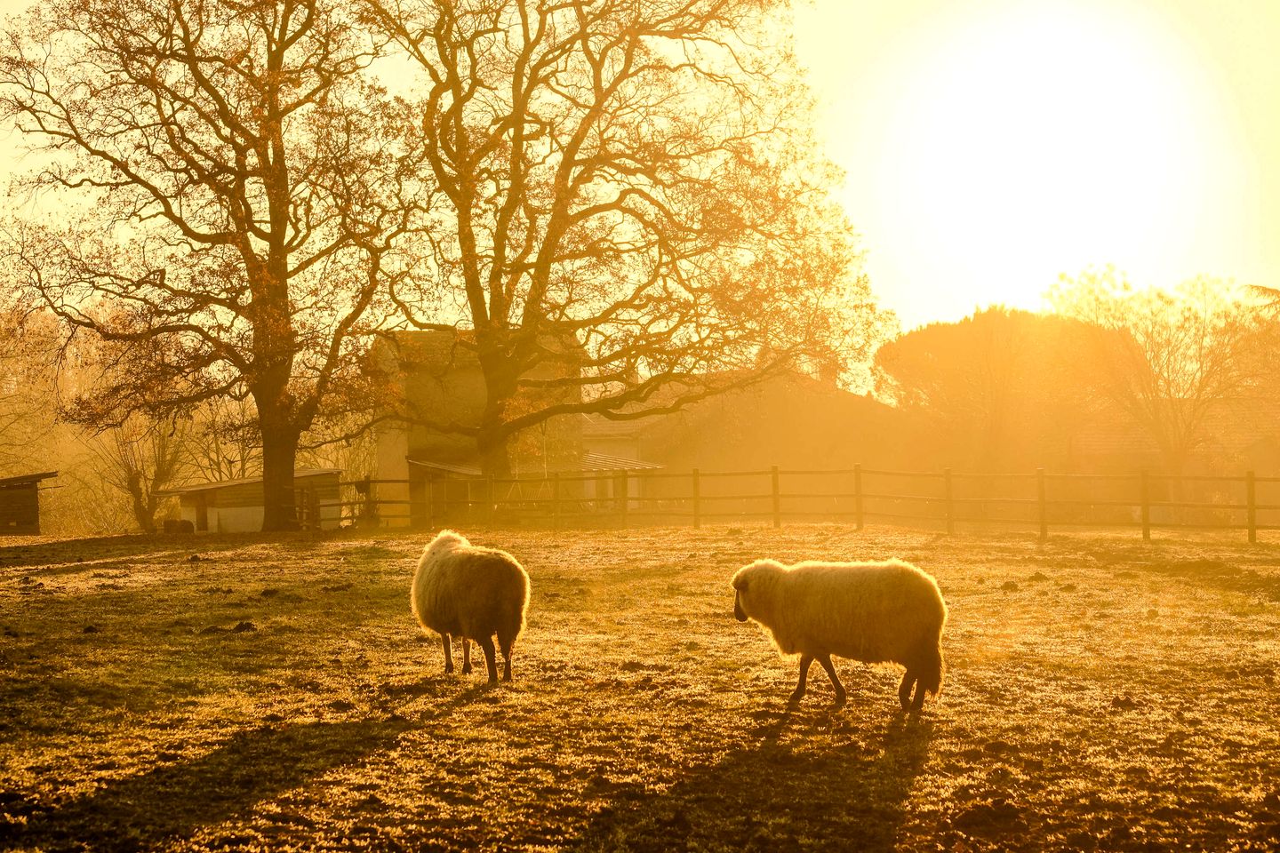Tranquil Countryside Tiny Home with Eco-Friendly Comfort Near Puybegon, France
