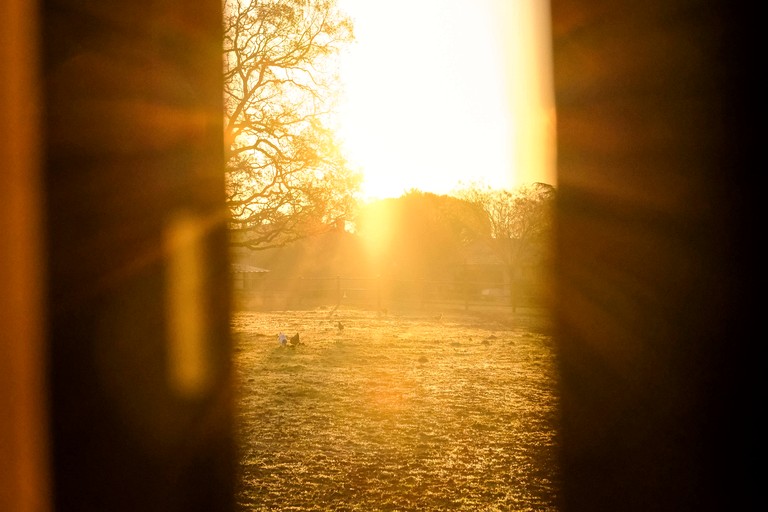 Vacation Rentals (France, Puybegon, Occitanie)