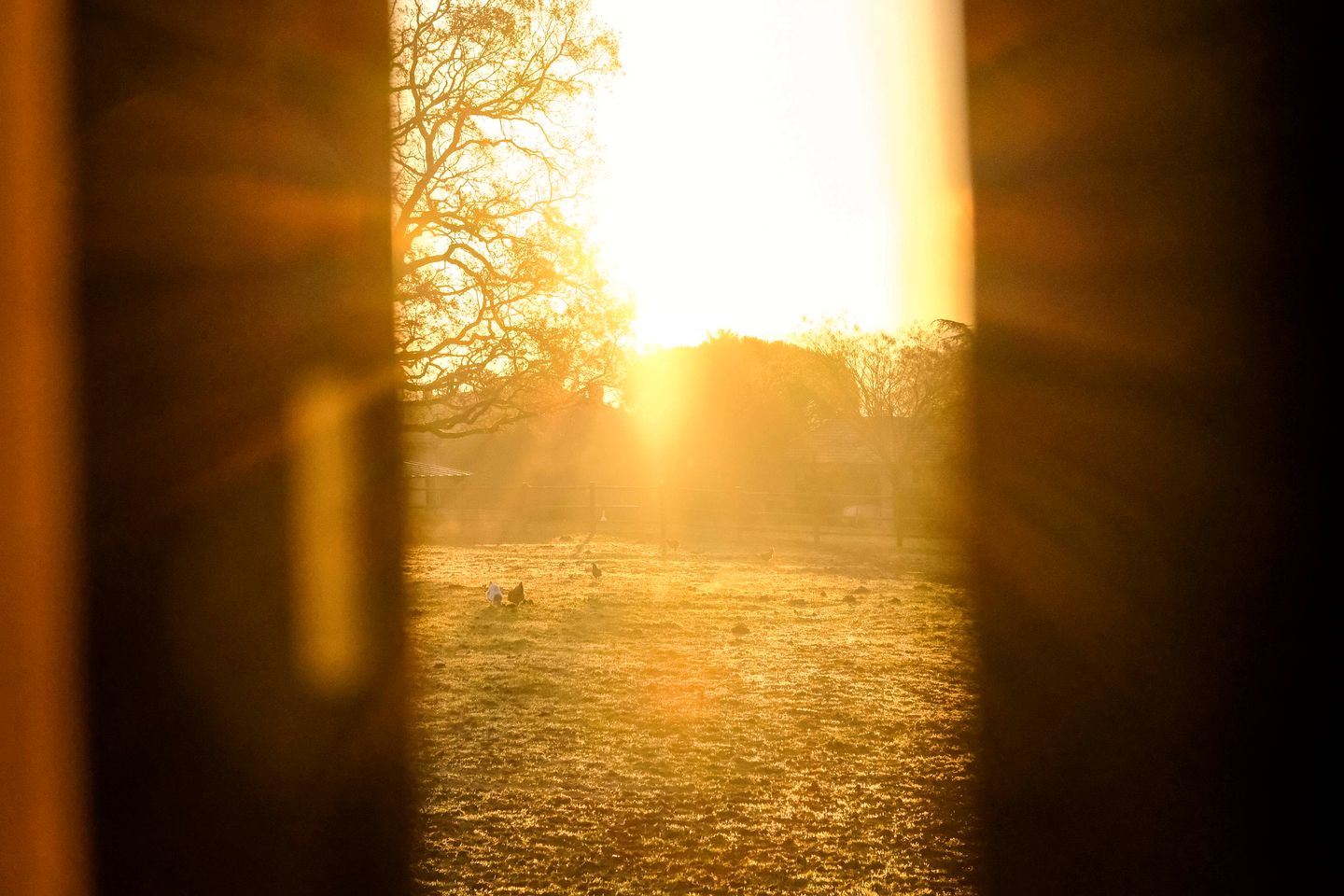 Tranquil Countryside Tiny Home with Eco-Friendly Comfort Near Puybegon, France