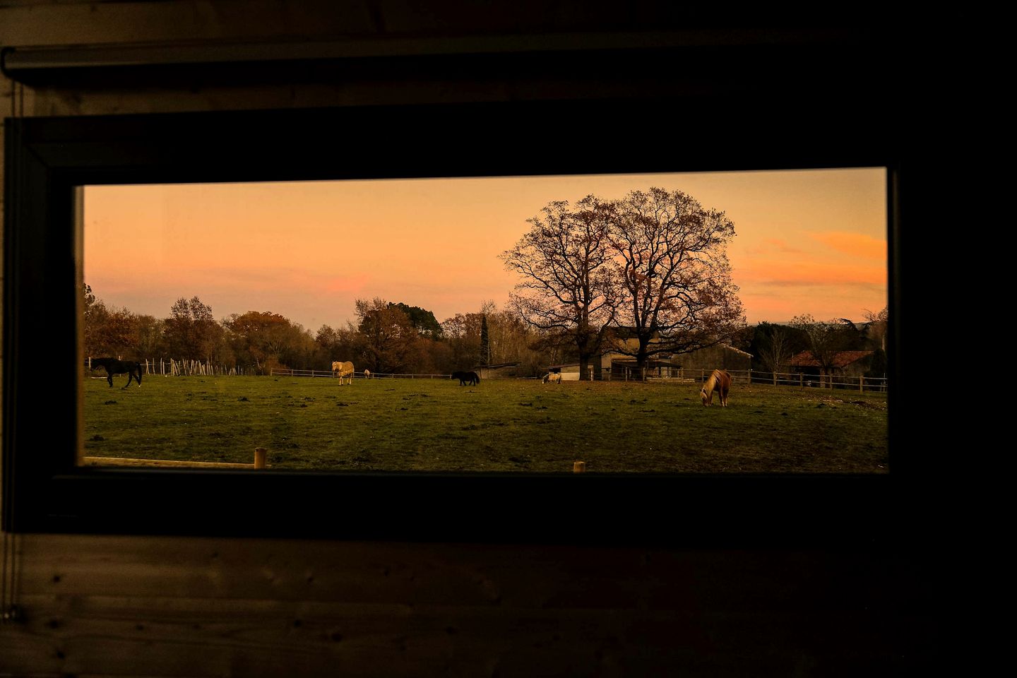 Tranquil Countryside Tiny Home with Eco-Friendly Comfort Near Puybegon, France