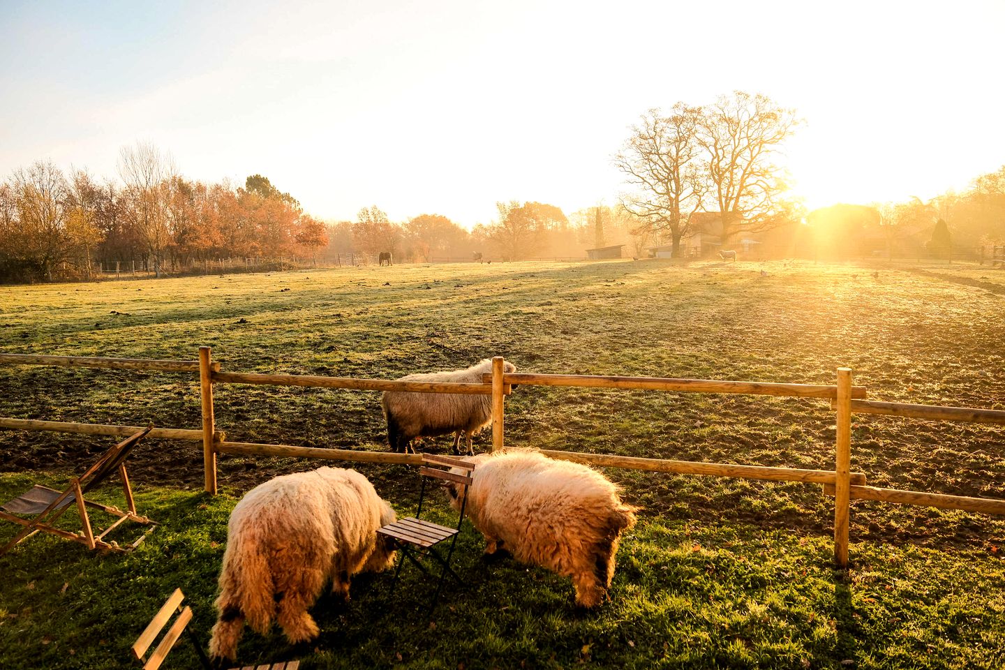 Tranquil Countryside Tiny Home with Eco-Friendly Comfort Near Puybegon, France