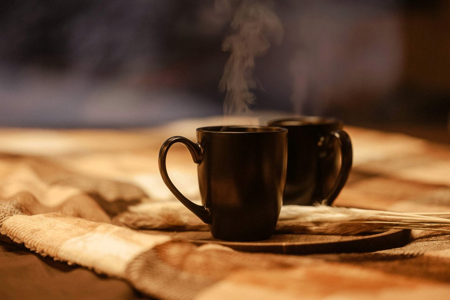 Tranquil Countryside Tiny Home with Eco-Friendly Comfort Near Puybegon, France