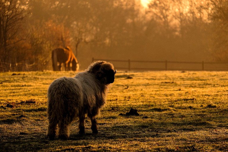 Vacation Rentals (France, Puybegon, Occitanie)