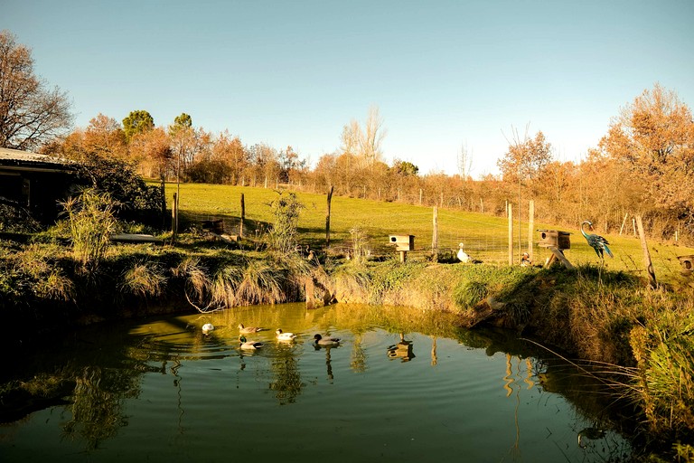 Vacation Rentals (France, Puybegon, Occitanie)