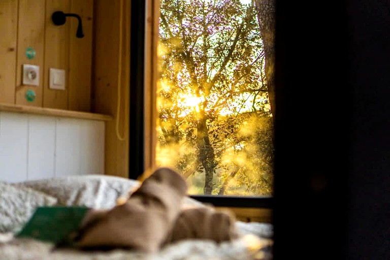 Vacation Rentals (France, --, Provence-Alpes-Côte d'Azur)