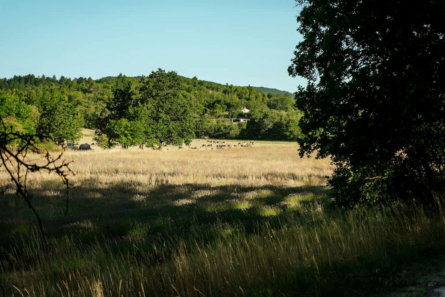 Peaceful Solar-Powered Cabin in the Heart of the Luberon, Provence