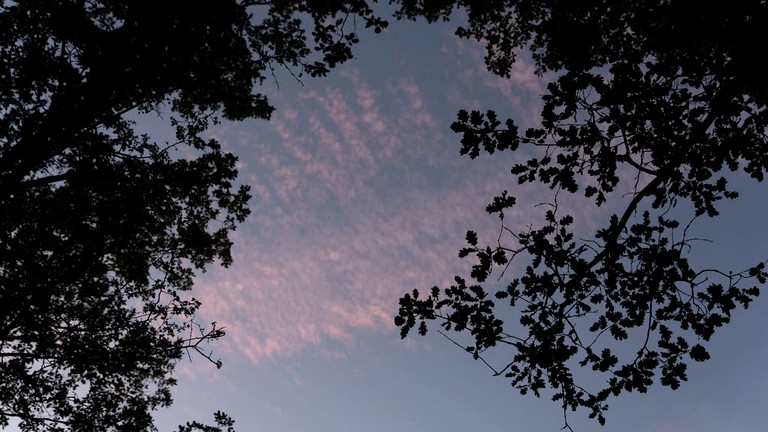 Tiny Houses (France, Viens, Provence-Alpes-Côte d'Azur)