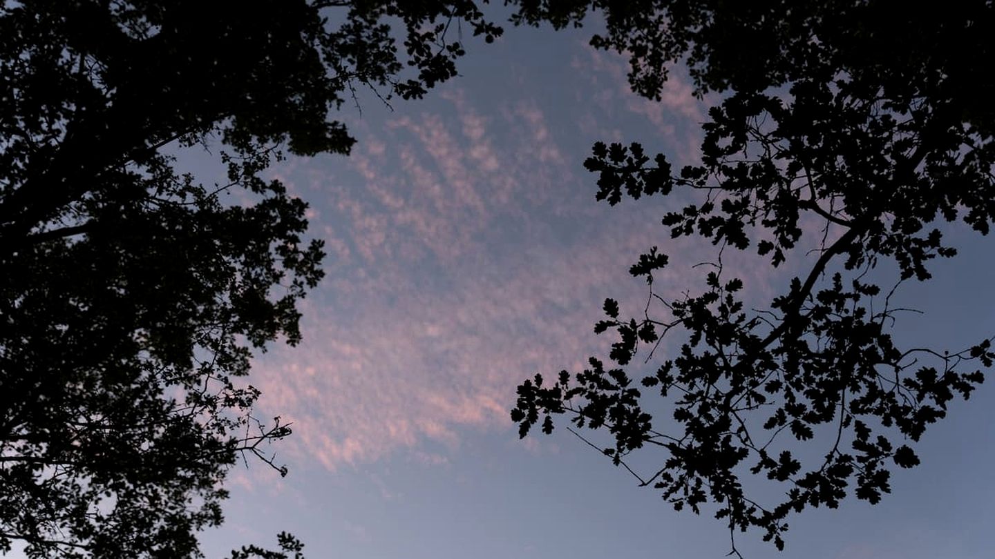 Peaceful Solar-Powered Cabin in the Heart of the Luberon, Provence