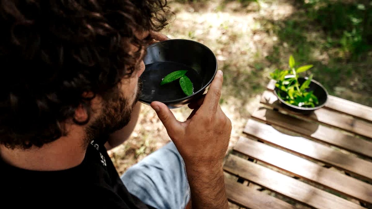 Peaceful Solar-Powered Cabin in the Heart of the Luberon, Provence
