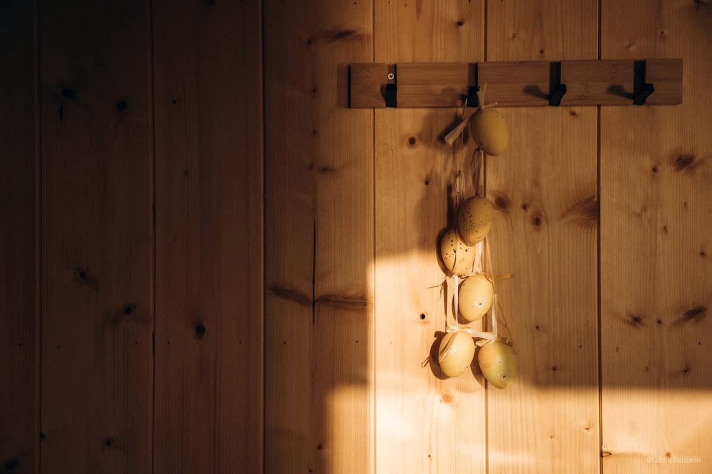 Idyllic Off-Grid Pondside Eco-Retreat with Swimming Pond, Close to Villeneuve-la-Guyard, France
