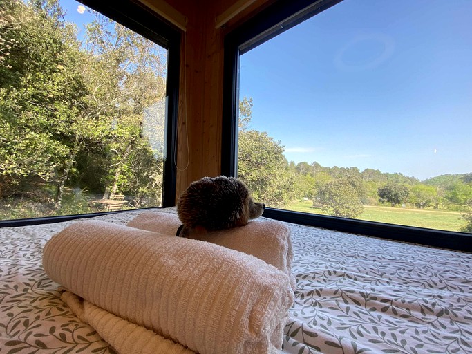 Vacation Rentals (France, Correns, Provence-Alpes-Côte d'Azur)