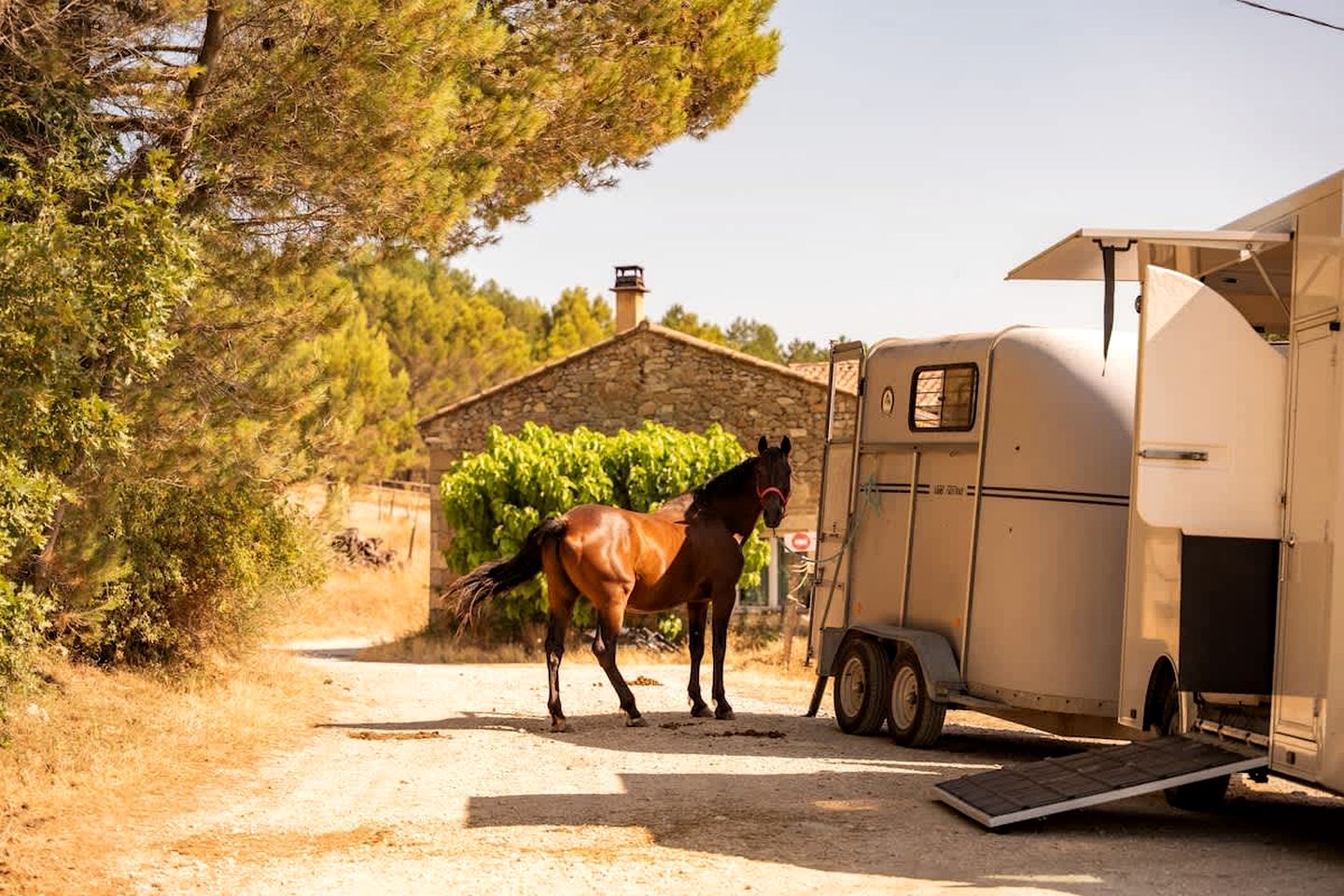 Peaceful Nature Refuge on an Equestrian Farm near Montélimar, Drôme