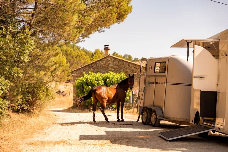 Tiny Houses (France, Puy-Saint-Martin, Auvergne-Rhône-Alpes)